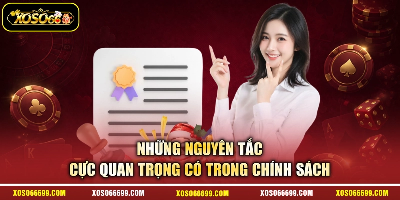 Những nguyên tắc cực quan trọng có trong chính sách