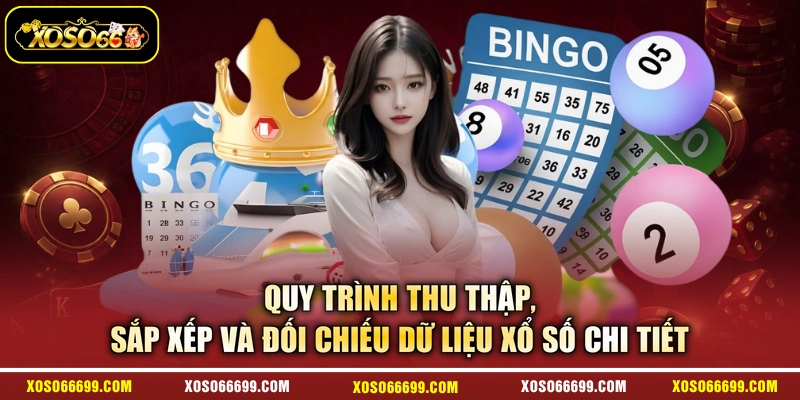 Quy trình thu thập, sắp xếp và đối chiếu dữ liệu xổ số chi tiết